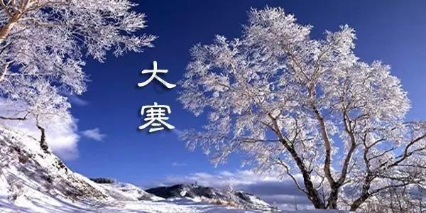 植物大战僵尸16