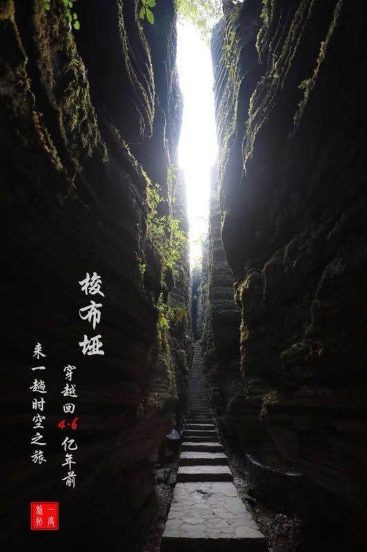 鹌鹑辣酱的做法？游戏画面