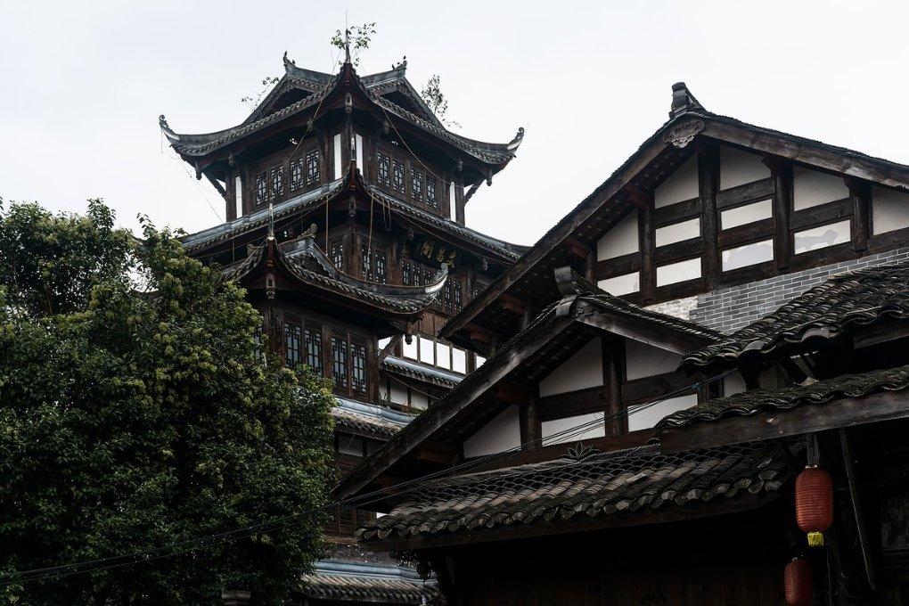 拯救树精灵